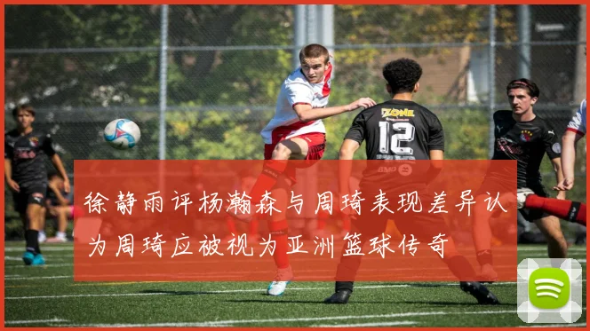 徐静雨评杨瀚森与周琦表现差异认为周琦应被视为亚洲篮球传奇
