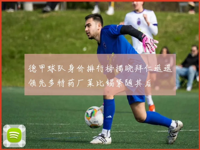 德甲球队身价排行榜揭晓拜仁遥遥领先多特药厂莱比锡紧随其后