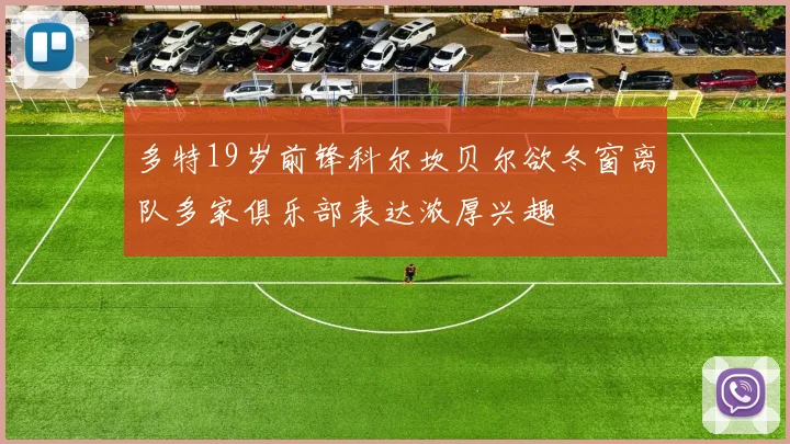 多特19岁前锋科尔坎贝尔欲冬窗离队多家俱乐部表达浓厚兴趣