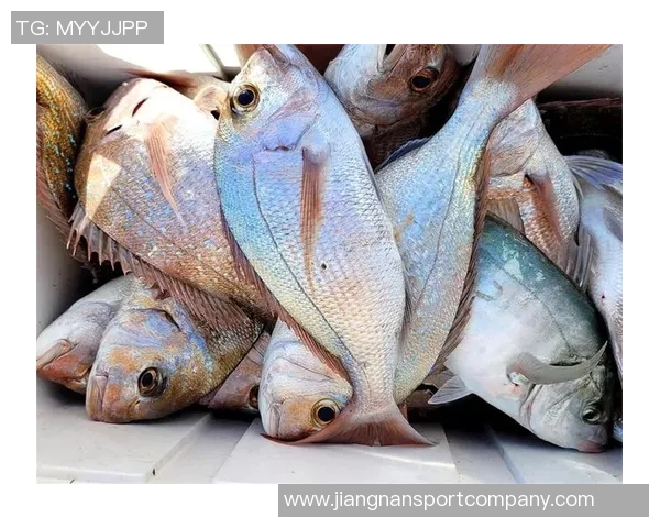 拉什福德分享海钓乐趣笑容灿烂展现多彩业余生活