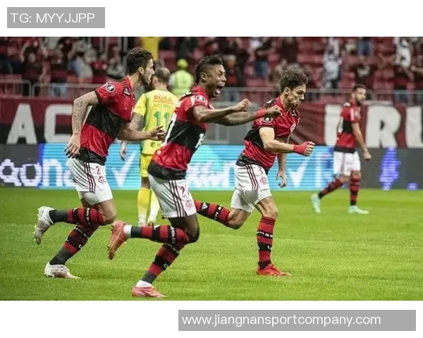 弗拉门戈球迷欢庆夺冠喜悦中奖杯疑似受损引发关注