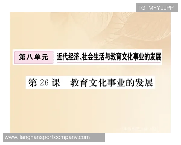 关于2017年历史问题处罚的公告及其影响分析与后续措施探讨